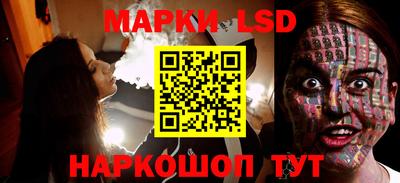 шишки Белореченск