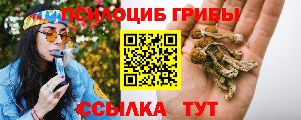 Энгельс  Галлюциногенные грибы Psilocybine cubensis  Вход с VPN 